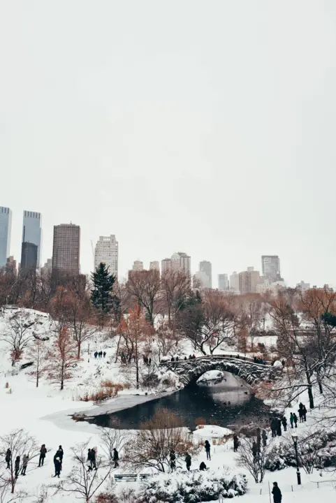 Central Park- Gapstow Bridge