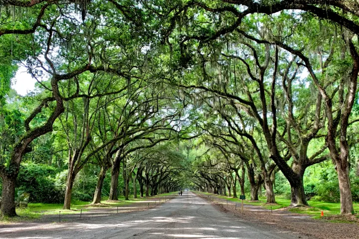 Savannah Georgia